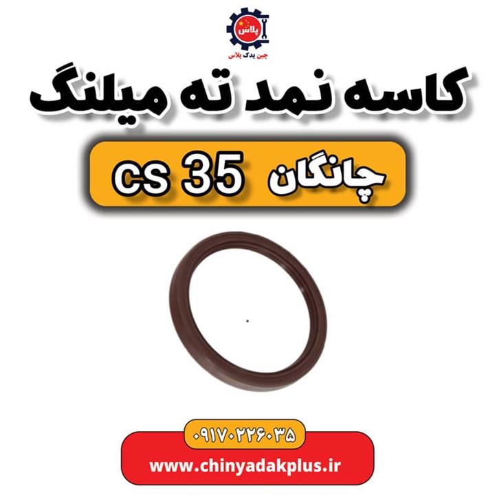 کاسه نمد ته میلنگ چانگان Cs35